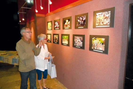 Le centre socioculturel appuie sur les champignons