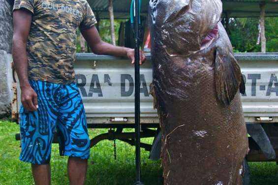 Il pique une loche bagnard de 200 kg à Mebuet