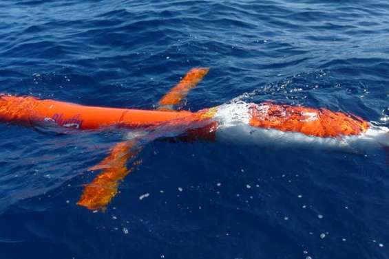 Un requin blanc attaque le sous-marin de l'IRD