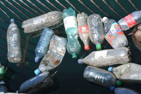 Un littoral en plastique