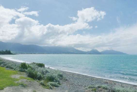 Protéger la mer via l'école