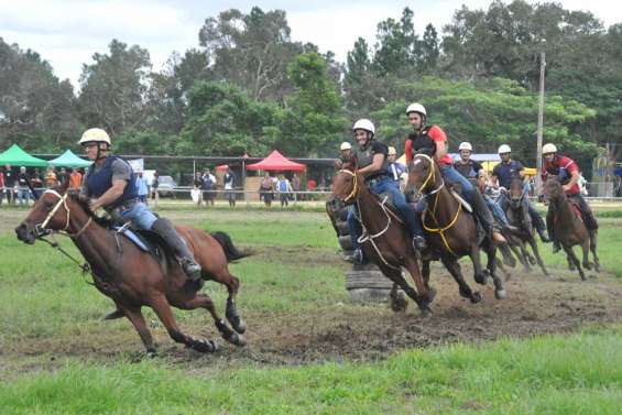 A cheval sur les animations