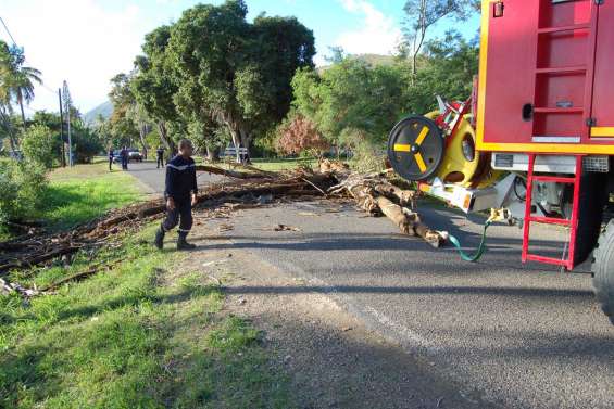 Un arbre mort en travers de la route