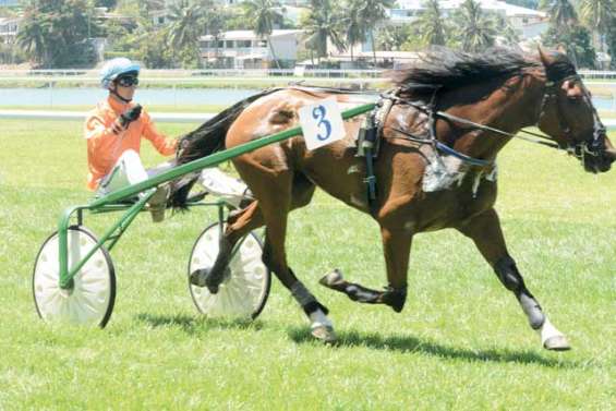 Ivor Hill, Baroda et Gold Tiara en grande forme