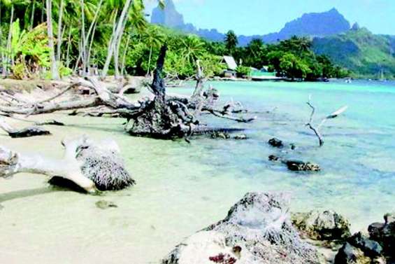 80 millions pour reconstruire la plage de Tahiamanu