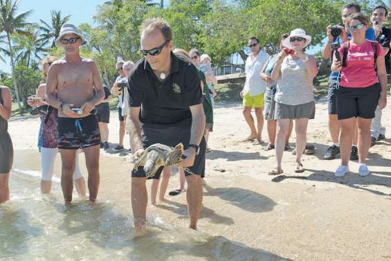 Retour à la mer,  après deux mois à l’aquarium