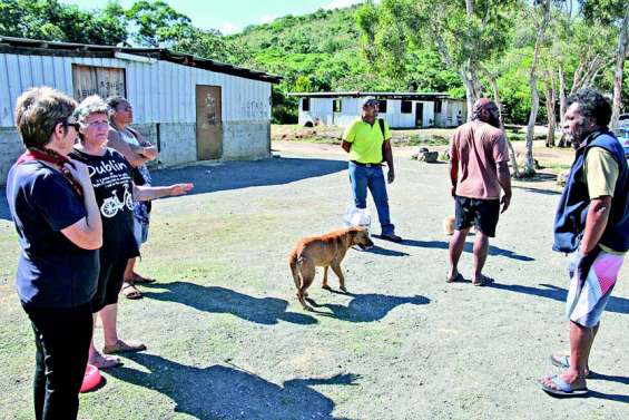 Tournée de soins auprès  des chiens du squat