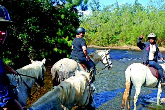 Le Yala Ranch, un club labellisé